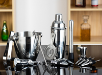 Cocktail-Shaker-Geschenkset Edelstahl-Bar-Werkzeugset mit Eigenem Logo, Eiskübel und Flügelöffner