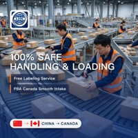 Expédition Express par Avion de Chine vers Canada, Agent FedEx Express, Compatible Google Search, Rapide et Fiable