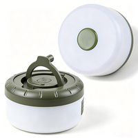 Lanterne de camping LED rechargeable portable 2-en-1, bande lumineuse colorée de 8 m, batterie 1800 mAh, portée du faisceau de 50 à 100 m, lampe d'extérieur