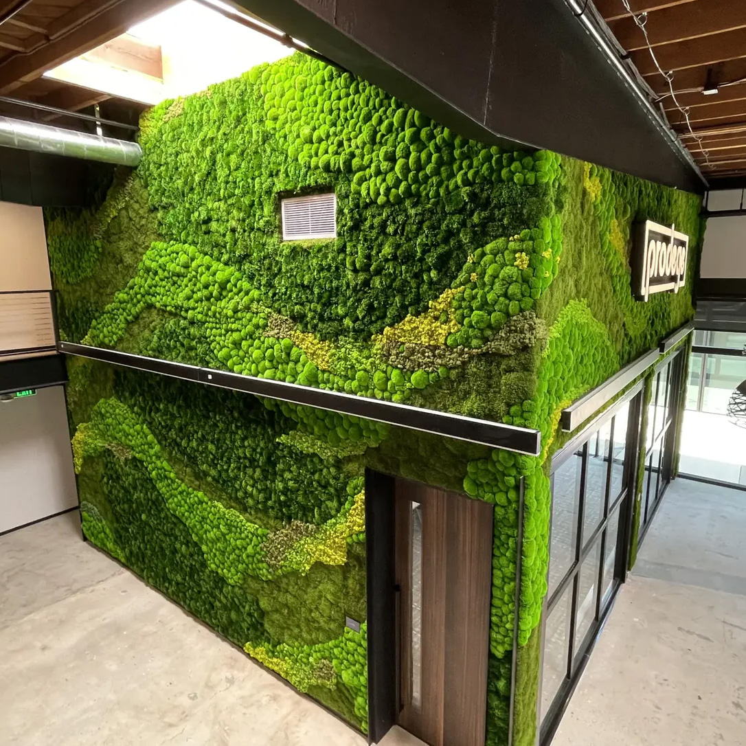 Art mural en mousse