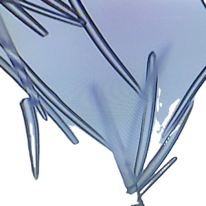 Polvo de espícula blanca salvaje con extracto de hierbas naturales 99% para eliminar el acné y crear una crema suave y sedosa - Product Image 5