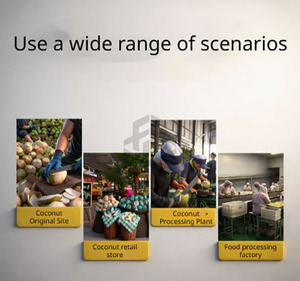 Pelador <span class=keywords><strong>de</strong></span> <span class=keywords><strong>Coco</strong></span> Ajustable para Diferentes Tamaños <span class=keywords><strong>de</strong></span> Cocos Jóvenes - Product Image 6