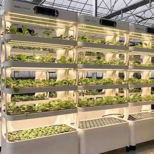 Sistema de Cultivo Hidropónico para Interiores, Jardinera Inteligente para el Hogar con Luces para Cultivar Vegetales - Product Image 5