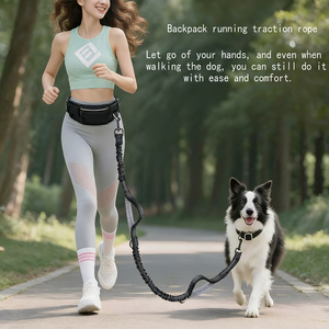 Laisse de marche <span class=keywords><strong>pour</strong></span> <span class=keywords><strong>chien</strong></span> multifonctionnelle rétractable et réfléchissante en nylon, anti-explosion, de luxe, <span class=keywords><strong>pour</strong></span> la course sportive <span class=keywords><strong>avec</strong></span> sac banane - Product Image 1