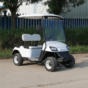 Voiturette de Golf Électrique Classique 2 Places Économique avec Batterie au Lithium/Plomb-Acide Personnalisable 48V/60V/72V - Product Image 3