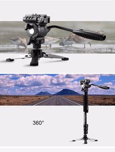 Trépied <span class=keywords><strong>monopode</strong></span> portable professionnel Weifeng WF-3978M pour la photographie et le tournage vidéo en extérieur - Product Image 5