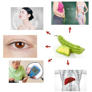 Capsules d'extrait de poires baumier de melon amer détox OEM ODM supplément <span class=keywords><strong>digestif</strong></span> puissant à base de plantes pour la santé intestinale des femmes enceintes - Product Image 5