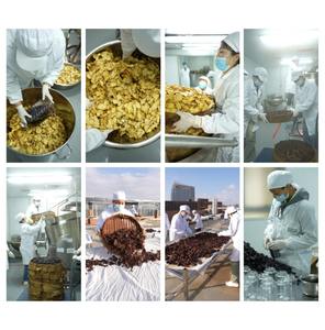 Polygonatum Sibiricum (Sigillo di Re Salomone) Essiccato Premium in Bustine Monodose Portatili 1 KG Pronto da Consumare - Product Image 2