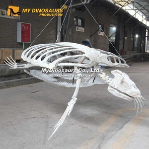 Khủng long của Tôi Như 191 nhân tạo mô phỏng cao <span class=keywords><strong>3D</strong></span> Bộ Xương rùa động vật - Product Image 5