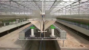 कारखाने प्रत्यक्ष बिक्री नए 24 कमरे यूरोपीय शैली मांस खरगोश पिंजरे वाणिज्यिक उपयोग क्यू 235 स्टील चांदी के फीडर ड्रेकर एक प्रकार 5 - Product Image 5