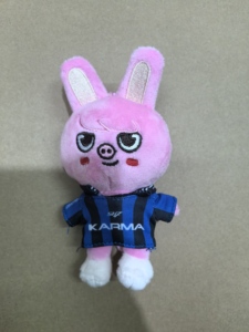 Nuevo Llavero Colgante de Peluche Suave de 12cm para Monedas, Stay Kids Fang Can Li Long Fu Felix <span class=keywords><strong>KARMA</strong></span> SKZ, Muñeco de Peluche Kpop de Dibujos Animados - Product Image 4