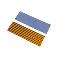 Radiateur 6mm pour M.2 NGFF 2280 PCI-E NVME SSD Heat Thermal Pads Gold
