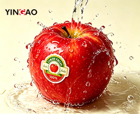 Étiquettes autocollantes en vinyle imperméable personnalisées, durables, en forme de cosmétique, pour l'emballage de fruits et légumes biologiques, en rouleau