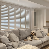 Volets de fenêtre sur mesure sans perçage, intérieur et extérieur, en tilleul et PVC, volets de plantation extérieurs pour fenêtre