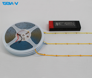 Chuyên nghiệp tốt nhất 5m RGBW COB LED Strip Chất lượng cao 12V 24V IP20/IP65/IP67/IP68 cao CRI 90 năng lượng Sao chứng nhận điều khiển bằng giọng nói - Product Image 1