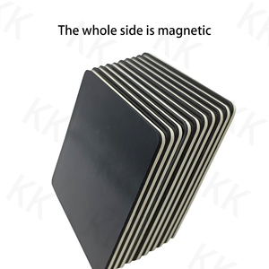 Custom Make <span class=keywords><strong>tema</strong></span>-specifici Multi-sensoriale gioco frigorifero apprendimento della parete carte Flash magnetiche per bambini educativi - Product Image 4