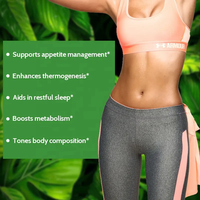OEM Slim Plus Brûleur de graisse et coupe-faim Capsules de perte de poids pour adultes Garcinia Cambogia Extrait de haricot blanc Detox
