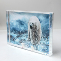 Cadre photo acrylique personnalisé sur le thème des animaux avec panda, pingouin, ours polaire, flotteur, Aqua Blox, insert liquide coloré 4*6 5*7