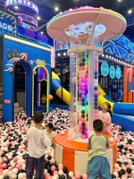 Parc d'attractions intérieur pour enfants Hogwood - Ensemble de jeux souples - Conception à rendement élevé (ROI) - Matériaux en peluche et métal (3D gratuit inclus >100 passagers)