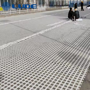 Chất lượng cao tùy chỉnh thanh thép Polyester khai thác geogrids nhà máy sản xuất cốt thép cường độ cao làm bằng sợi thủy tinh - Product Image 6