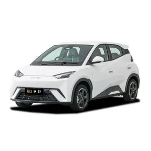 2024 BYDシーガルシーガルモダンオート新エネルギー電気自動車BYDシーガルEV車を購入