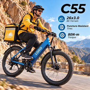 Bicicleta Eléctrica C55 48V55AH de Fábrica, Bicicleta Eléctrica de Carga de 26x3 Pulgadas al por Mayor para Repartidores - Product Image 1