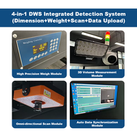 Système DWS dynamique pour colis, machine de dimensionnement, pesage et numérisation 3D jusqu'à 60 kg pour entrepôt logistique express