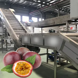 Industriële Passievrucht Pulping Machine Ananas Concentraat Sap Verwerkingslijn