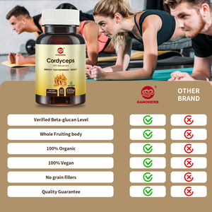 GANOHERB OEM al por mayor Cordyceps Militaris extracto en polvo cápsulas para <span class=keywords><strong>vegetarianos</strong></span> prueba UV certificado GMP - Product Image 5