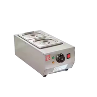 Machine électrique de fonte de chocolat d'acier inoxydable de 2 réservoirs nouvelle condition pour la préparation commerciale de casse-croûte de beurre de fromage élevé