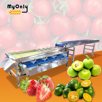 Prix de la machine de tri et de lavage automatique des tomates cerises, des melons, des fruits, des pommes, des fruits de la passion