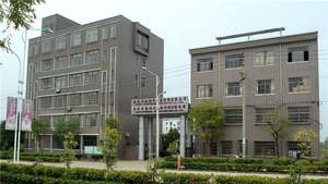 Rouleau anti-fatigue: poignée absorbant les chocs, pointes diamantées pour des motifs époxy parfaits à chaque fois. - Product Image 6