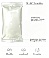 Pochette de refroidissement OEM Premium scellée en gel, sûre pour la peau, pour cosmétiques, essences, sérums, et logistique à température constante