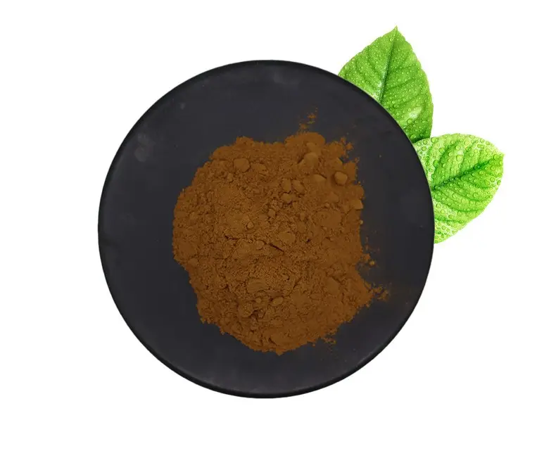 Plant Herbs Tongkat Ali Extract 1% Powder for sale Organic Tongkat Ali Root Extract with wholesales price