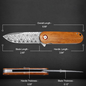 Couteau de chasse Bowie à lame dentelée en acier inoxydable de haute qualité, manche portable, couteau de poche pour le camping en plein air, vente en gros - Product Image 4