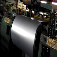 Bobines d'acier au carbone laminé à froid pour usines, 0,8 mm - 2 mm, tôles électrogalvanisées prépeintes en bobines, prix du fer noir