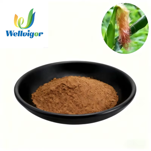 하이 퀄리티 도매 식품 학년 허브 추출물 10:1 옥수수 실크 오명 분말 건강 제아 메이스 L 용제 추출 - Product Image 1