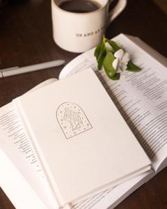 LABON Lino Christus Diario Biblia Oración Jesús Diario religioso Regalo Misión Diario para la reflexión espiritual y la devoción - Product Image 2