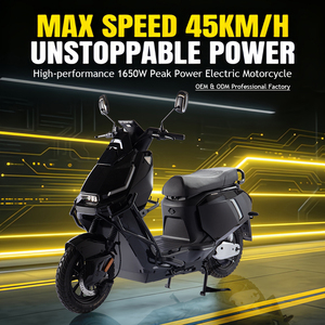 Moto électrique PACIFIC 800W 60V 24AH avec batterie au lithium, pneus 3.0-12, moteur sans balais, pour adulte, fabricant OEM - Product Image 1