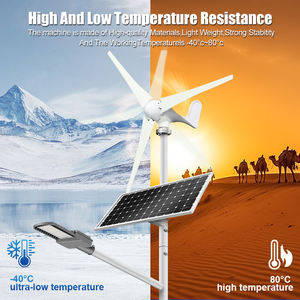 Motor de turbina de energía híbrida solar eólica con Control de carga Panel solar Diseño libre Cabezal de luz Proyecto personalizable Luces de calle - Product Image 2