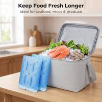 Grande plaque de refroidissement eutectique de 1800 ml en plastique thermique isolé pour sacs isothermes de conservation des aliments