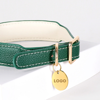 Ensemble de laisse pour collier de chien Airtag Vente en gros Stock de luxe Personnalisé Designer Western Recyclé Collier en cuir imperméable pour animaux de compagnie Tracker