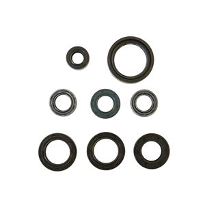 Kit de joints d'étanchéité pour moteur - Product Image 1