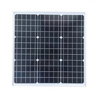 Module de panneau solaire monocristallin en silicium de type N à demi-cellules 50W 100W pour les petits systèmes d'éclairage domestique et extérieur