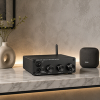 Penguat Daya Mini 2.1 Saluran 50Wx2+100W HiFi Audio Amp Paduan Aluminium AUX RCA Penguat Subwoofer Desktop Rumah