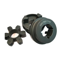 Accouplements à mâchoires en fonte avec insert en caoutchouc HRC70-280, élément d'accouplement flexible, personnalisable OEM, 100 Nm, 1000 tr/min