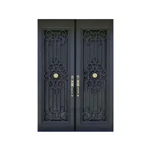 Luxury Design Antique Decorative Wrought Iron Double Door For House With Glass