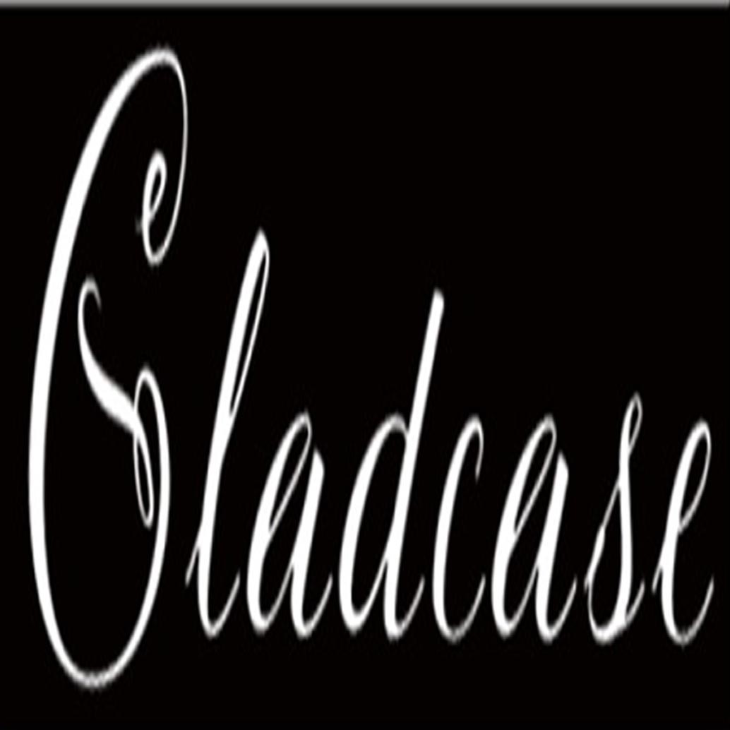 Foshan Sunbest Case And Bag Co., Ltd. logo
