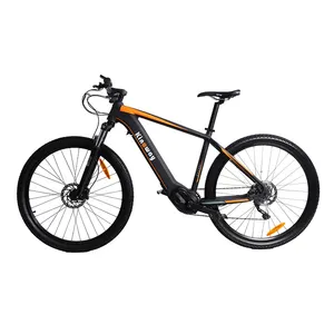 공장 무료 샘플 mtb enduro ebike 29 "전기 산악 자전거 자전거 350W 500W 중앙 모터 Bafang 10.5Ah 배터리