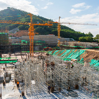 Offre Spéciale nouveau bâtiment grue à tour 30 mètres 100m de hauteur aux Philippines